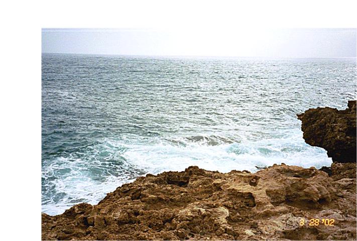 kaenapoint10.jpg