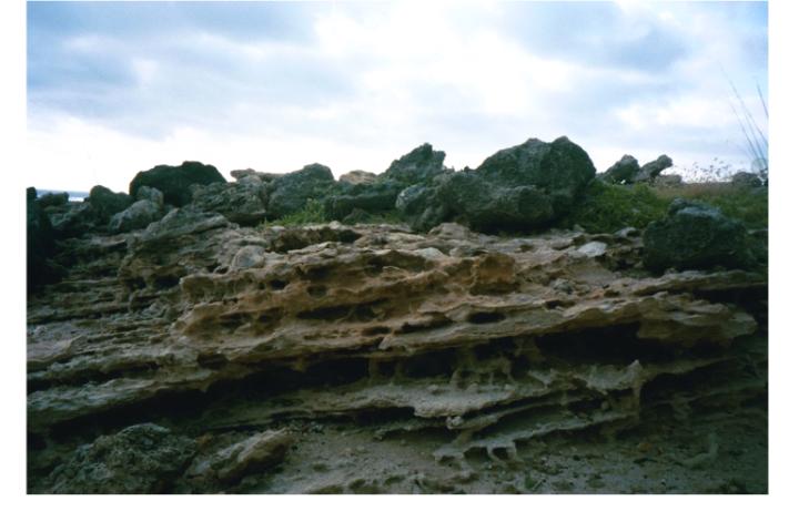kaenapoint5.jpg